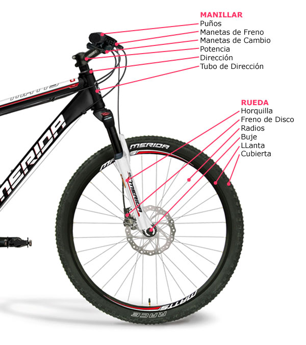 enjuague Todopoderoso Provisional Las partes de una bicicleta de montaña, al detalle