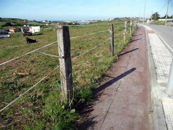 Fotodenuncias: El respeto hacia los ciclistas en imágenes