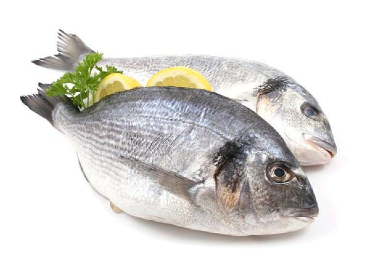 Nutrición: Comer pescado mejora tu rendimiento sobre la bicicleta