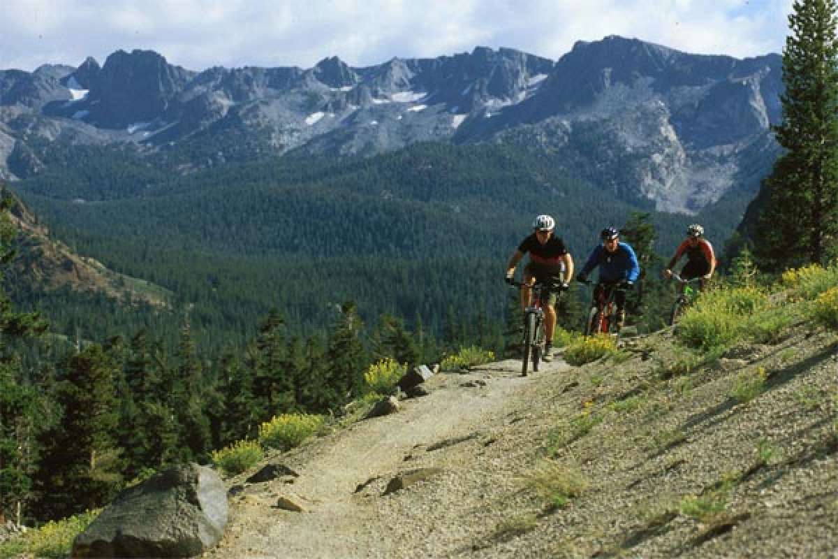 8 buenas razones para practicar Mountain Bike