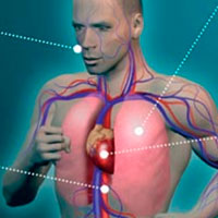 El sistema cardiovascular de un deportista. ¿Cómo funciona?