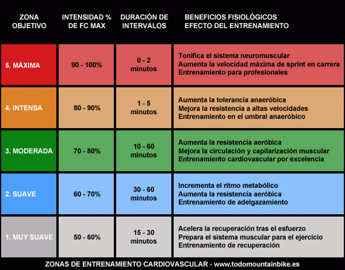 Zonas de entrenamiento cardiovascular. Optimiza tu rendimiento