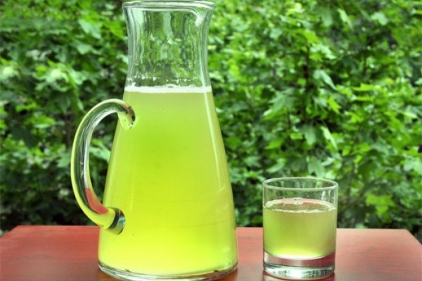 Nutrición: 25 propiedades del té verde que beneficiarán tu entrenamiento