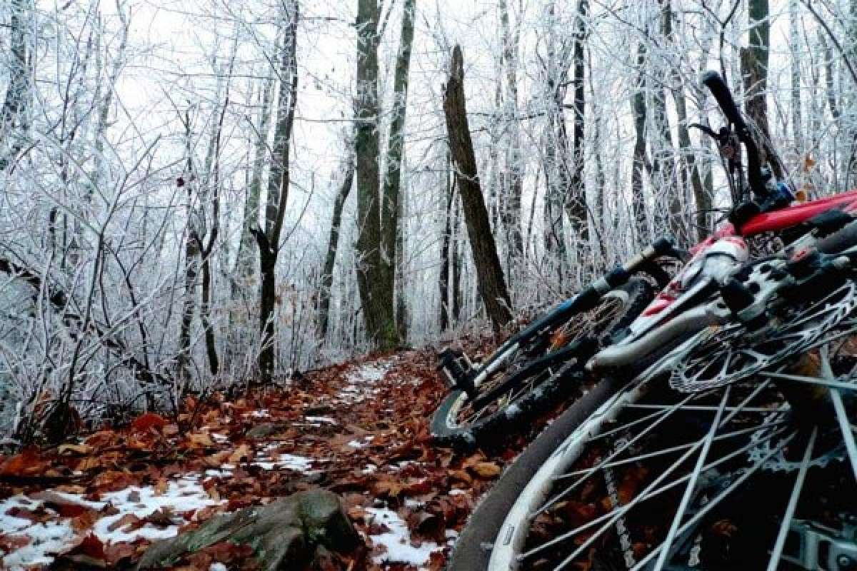 Las mejores imágenes sobre Mountain Bike que nos ha dejado el 2011