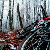 Algunos consejos para seguir practicando Mountain Bike incluso en el Invierno más frío