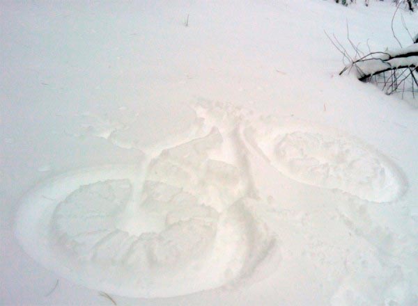 Las mejores imágenes sobre Mountain Bike que nos ha dejado el 2011