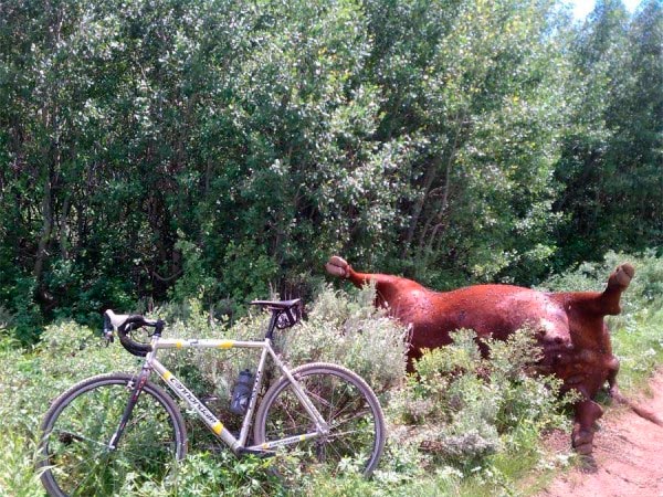 Las mejores imágenes sobre Mountain Bike que nos ha dejado el 2011