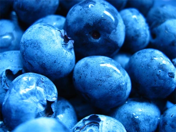 Nutrición: Las mejores frutas frescas de este verano para aumentar el rendimiento sobre nuestra bicicleta de montaña