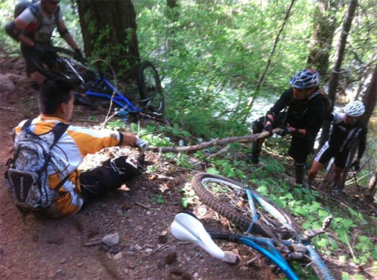 En TodoMountainBike: Una inesperada caída en lo más llano o por qué nunca debemos bajar la guardia mientras rodamos