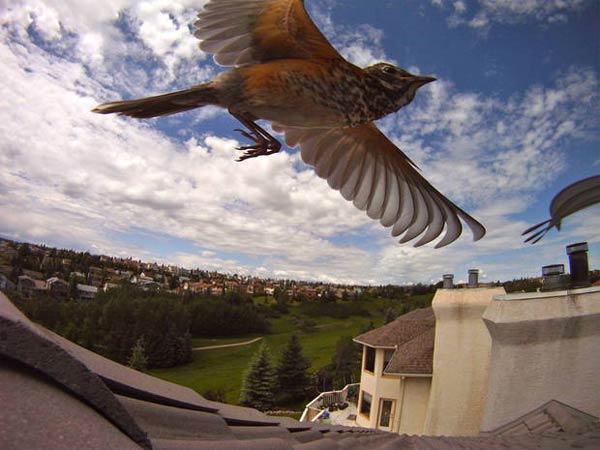 20 impactantes fotografías deportivas tomadas con cámaras GoPro HERO