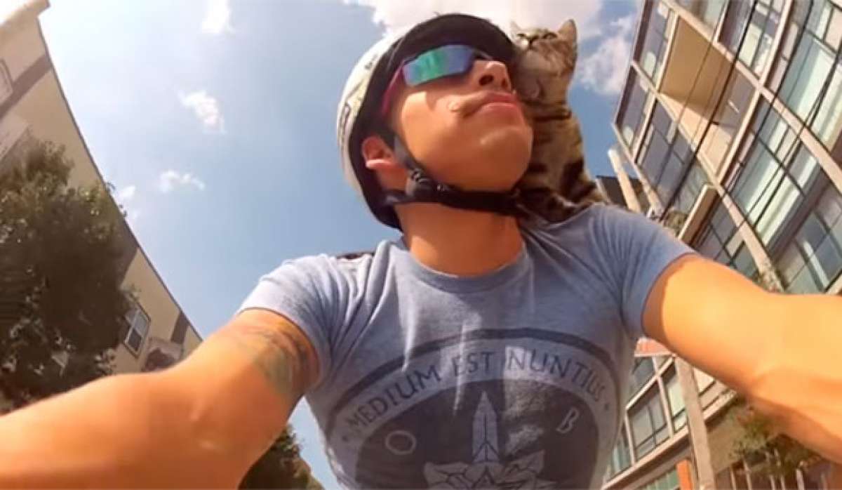 En TodoMountainBike: 'Mi gato monta en bicicleta mejor que tú' o cómo rodar con un gato en el cogote
