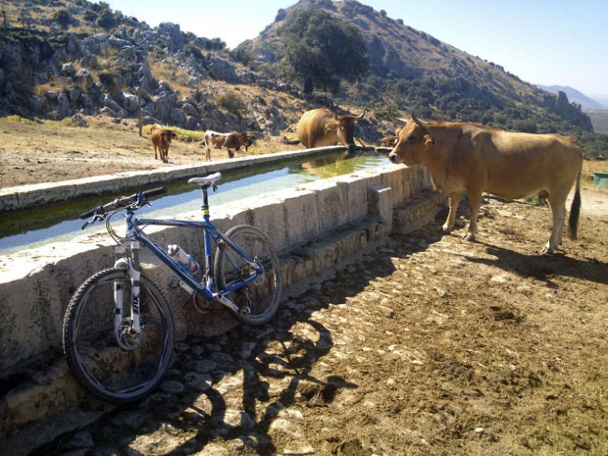 La foto del día en TodoMountainBike: 'Un refrigerio en buena compañía'