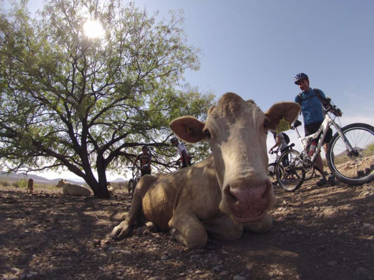 La foto del día en TodoMountainBike: 'Una amiga sonriente'