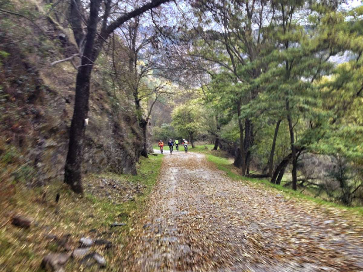 La foto del día en TodoMountainBike: 'Máquinas Acalambradas en acción'