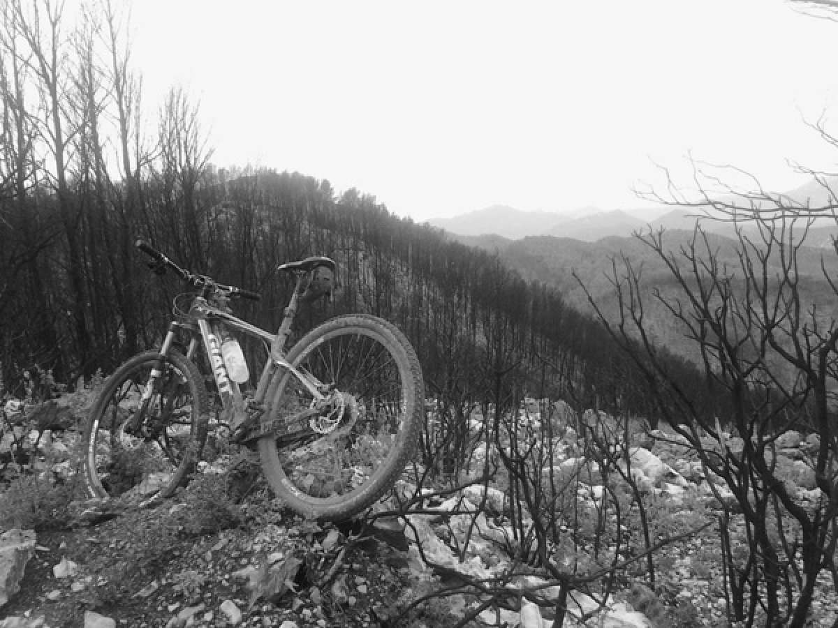 La foto de la semana en TodoMountainBike: 'BTT en estado puro'