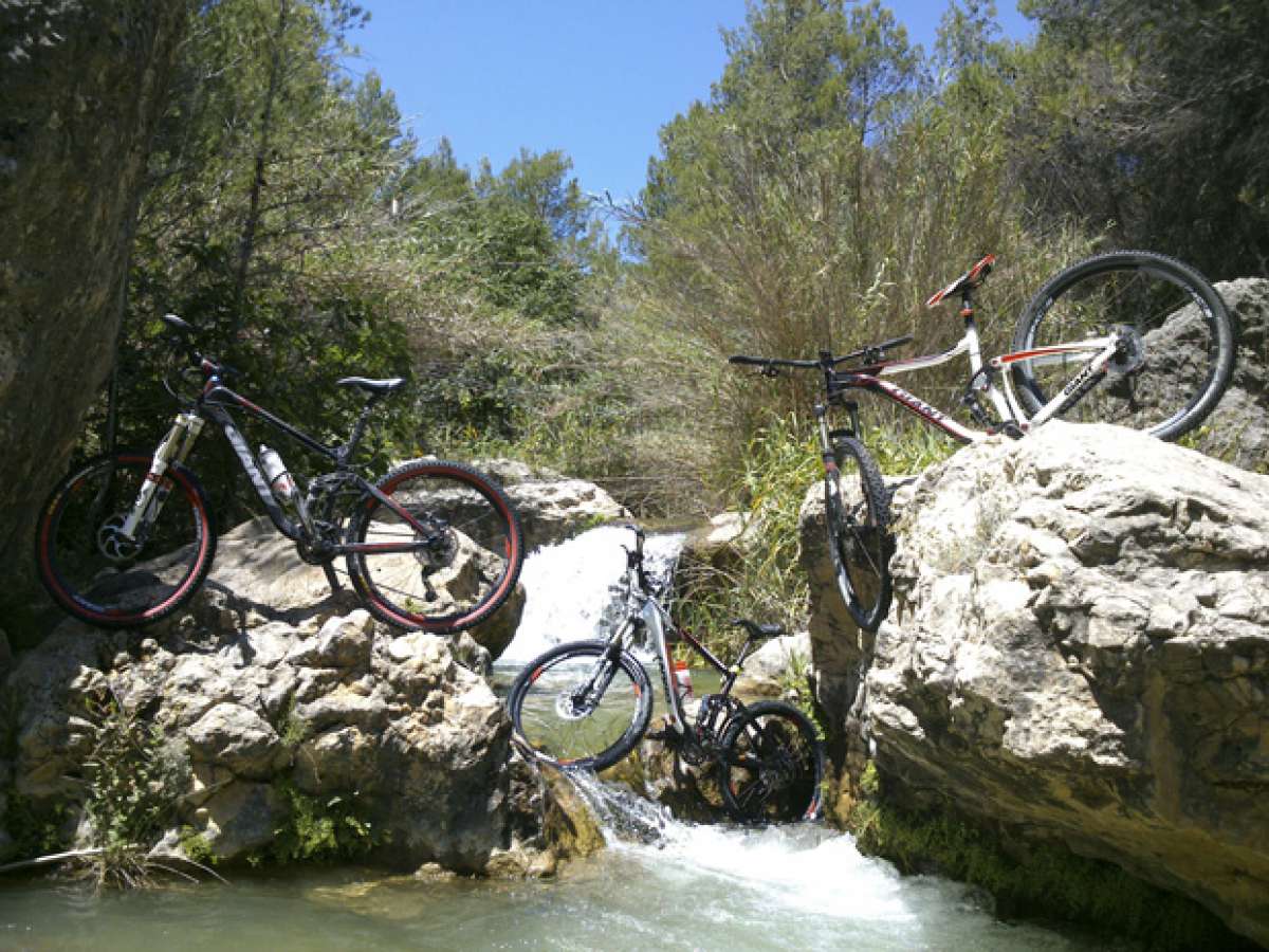 La foto del día en TodoMountainBike: 'La familia Giant Trance'