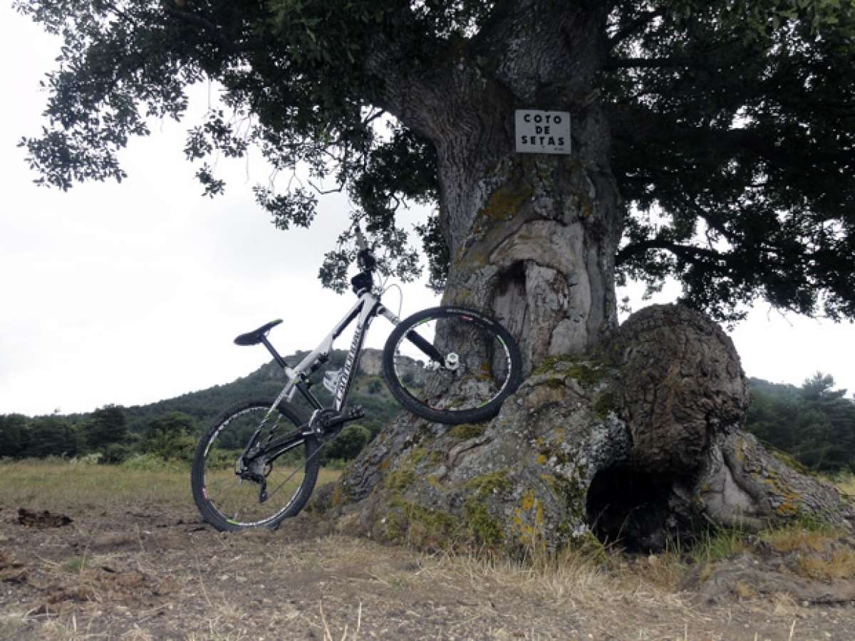 La foto del día en TodoMountainBike: 'De ruta con la Cannondale'