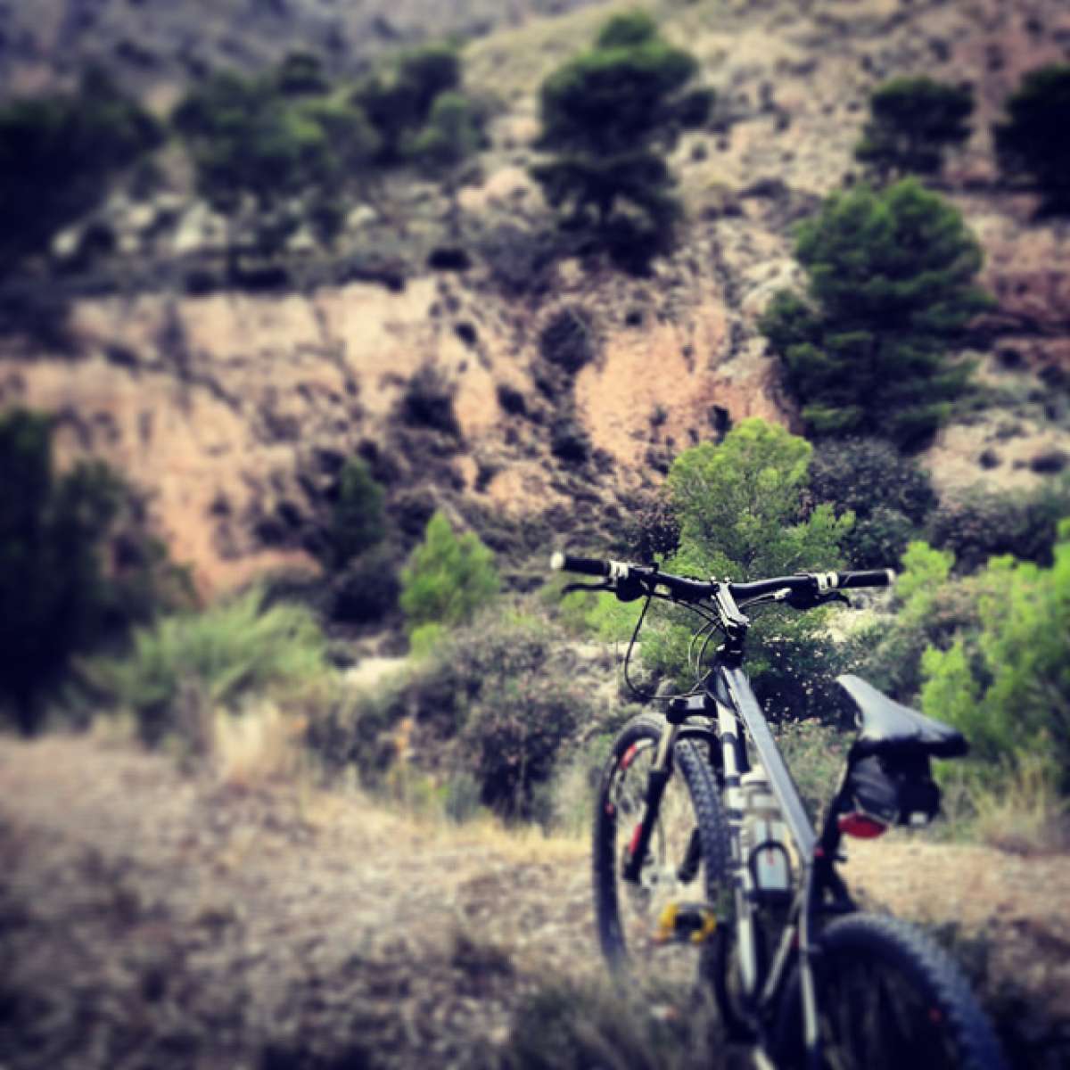 La foto del día en TodoMountainBike: 'Fisgando por la Sierra de Crevillente'