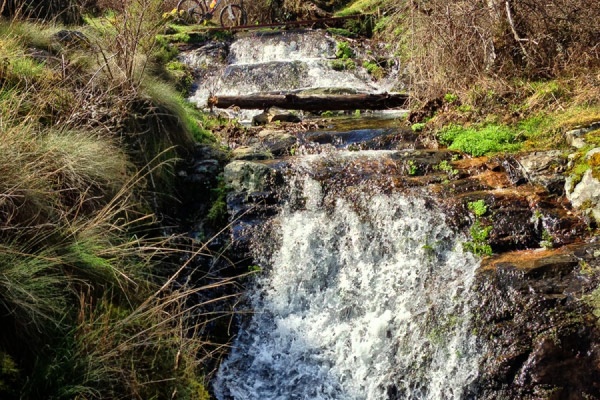 La foto de la semana en TodoMountainBike: "Ya es Primavera"