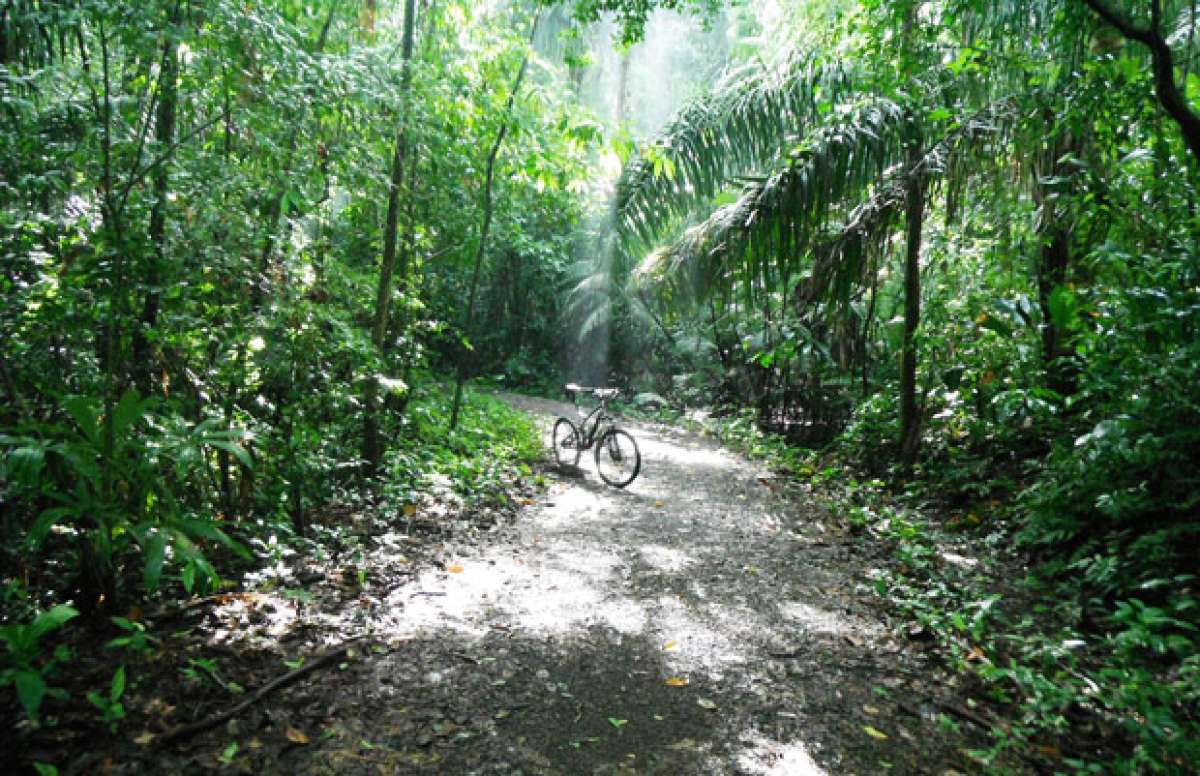 La foto de la semana en TodoMountainBike: 'Cocoa Plantation. Camino de la Plantación Las Cascadas (Panamá)'