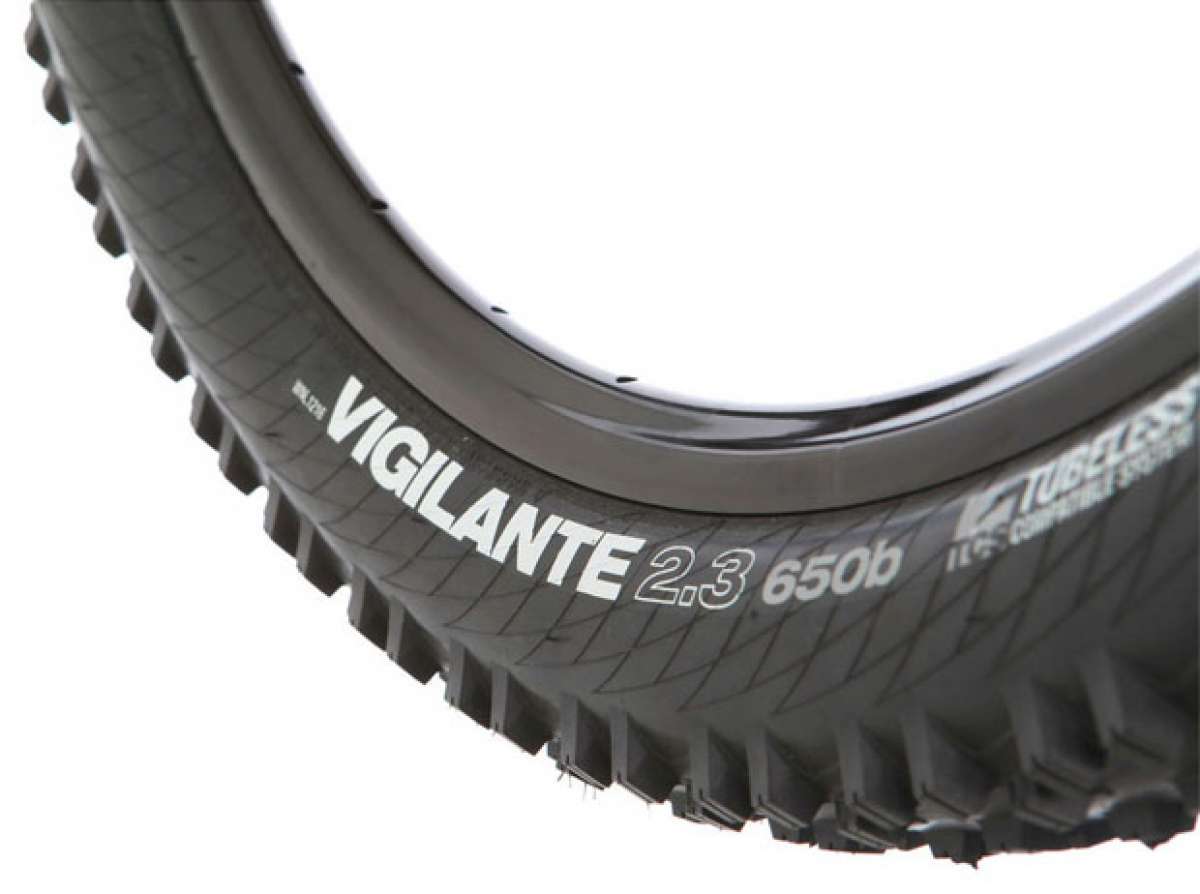 Nuevas cubiertas de WTB para 2014: Vigilante, Bee Line y Nine Line