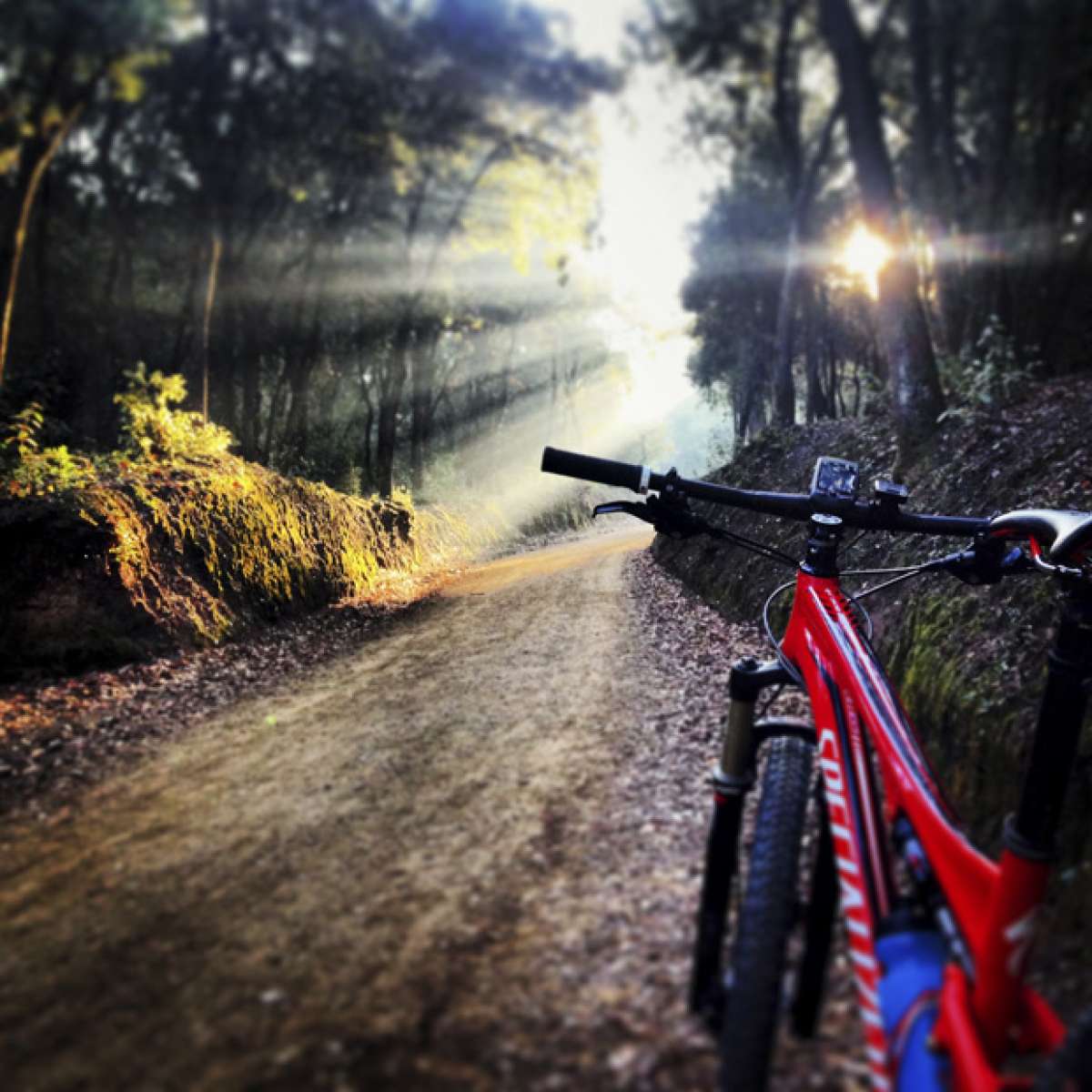 La foto del día en TodoMountainBike: 'Parque Natural de Collserola'