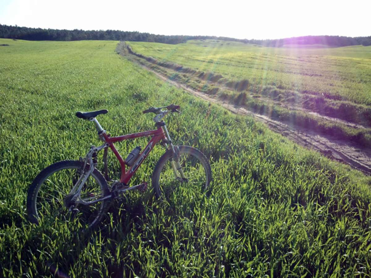 La foto del día en TodoMountainBike: 'Campos de cebada en Almodóvar del Pinar (Cuenca)'