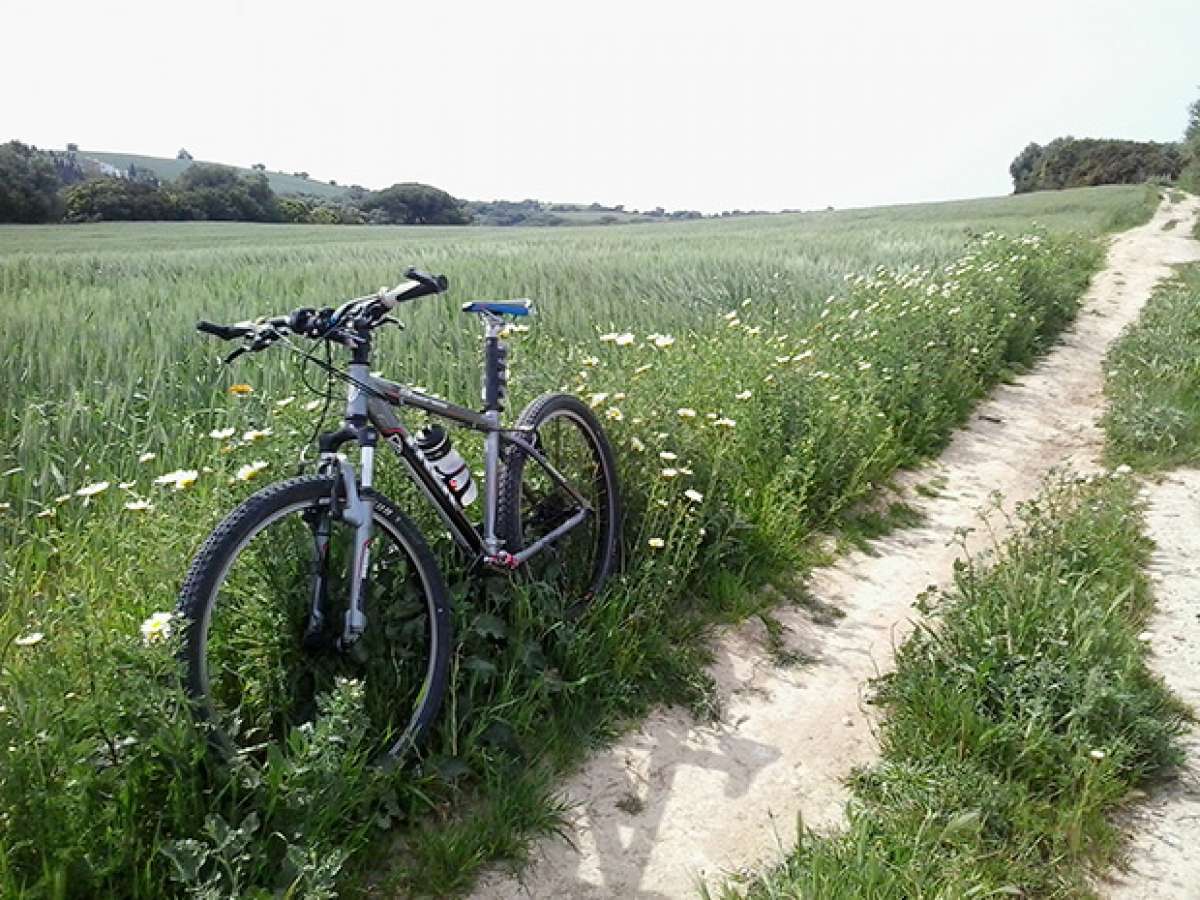 La foto del día en TodoMountainBike: 'Palomar de la Breña'