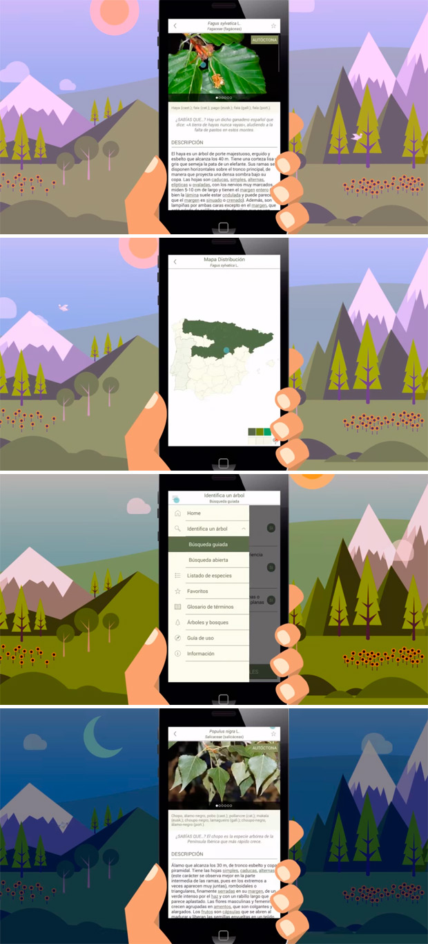 ArbolApp, una aplicación gratuita para conocer los árboles que encontramos en nuestras rutas