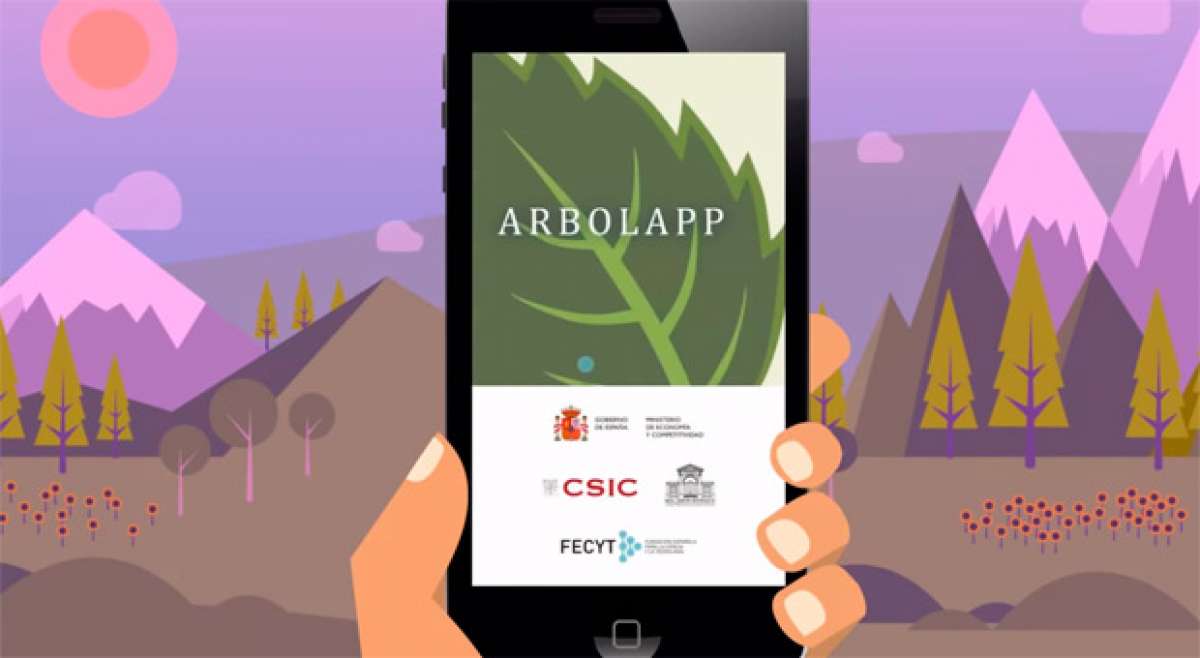 ArbolApp, una aplicación gratuita para conocer los árboles que encontramos en nuestras rutas