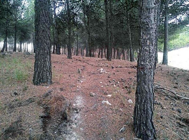 Un ciclista con la cara desgarrada por una nueva trampa de alambre de espino. ¿Hasta dónde vamos a llegar?