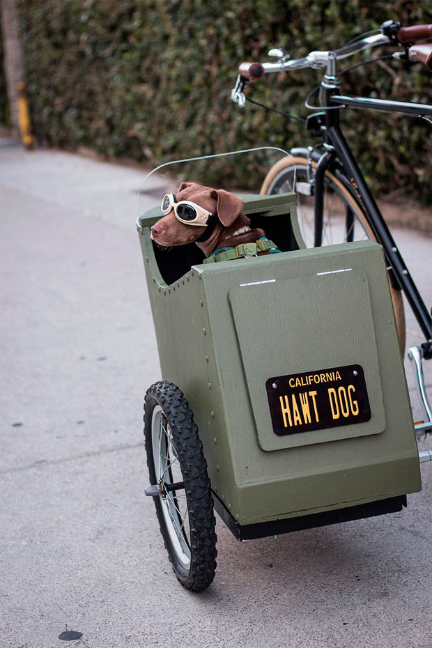 Bricolaje ciclista: Cómo fabricar un sidecar para perros