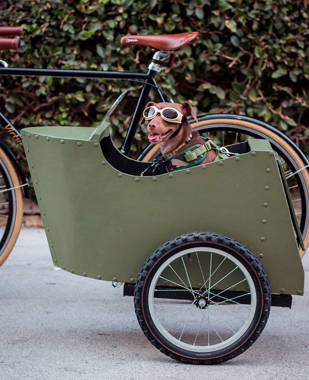 Bricolaje ciclista: Cómo fabricar un sidecar para perros
