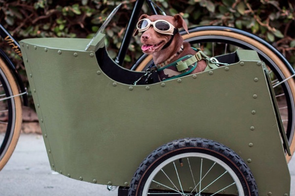 Bricolaje ciclista: Cómo fabricar un sidecar para perros