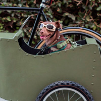Bricolaje ciclista: Cómo fabricar un sidecar para perros