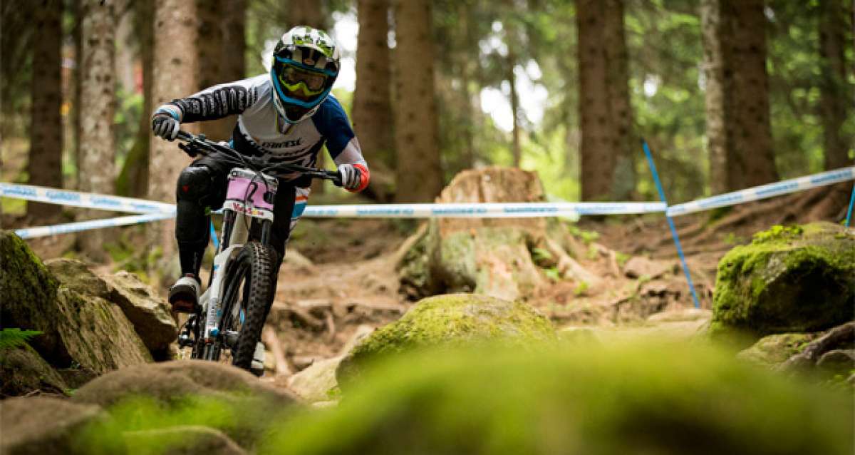 En TodoMountainBike: Copa del Mundo 2014: Los mejores momentos de la prueba de DH disputada en Mont-Sainte-Anne (Canadá)