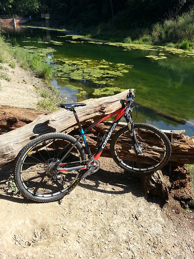 La foto del día en TodoMountainBike: 'Salida al pantano'