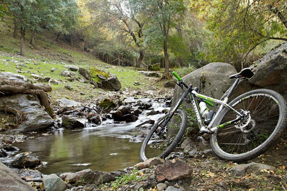 La foto del día en TodoMountainBike: 'En la dehesa del Camarate'