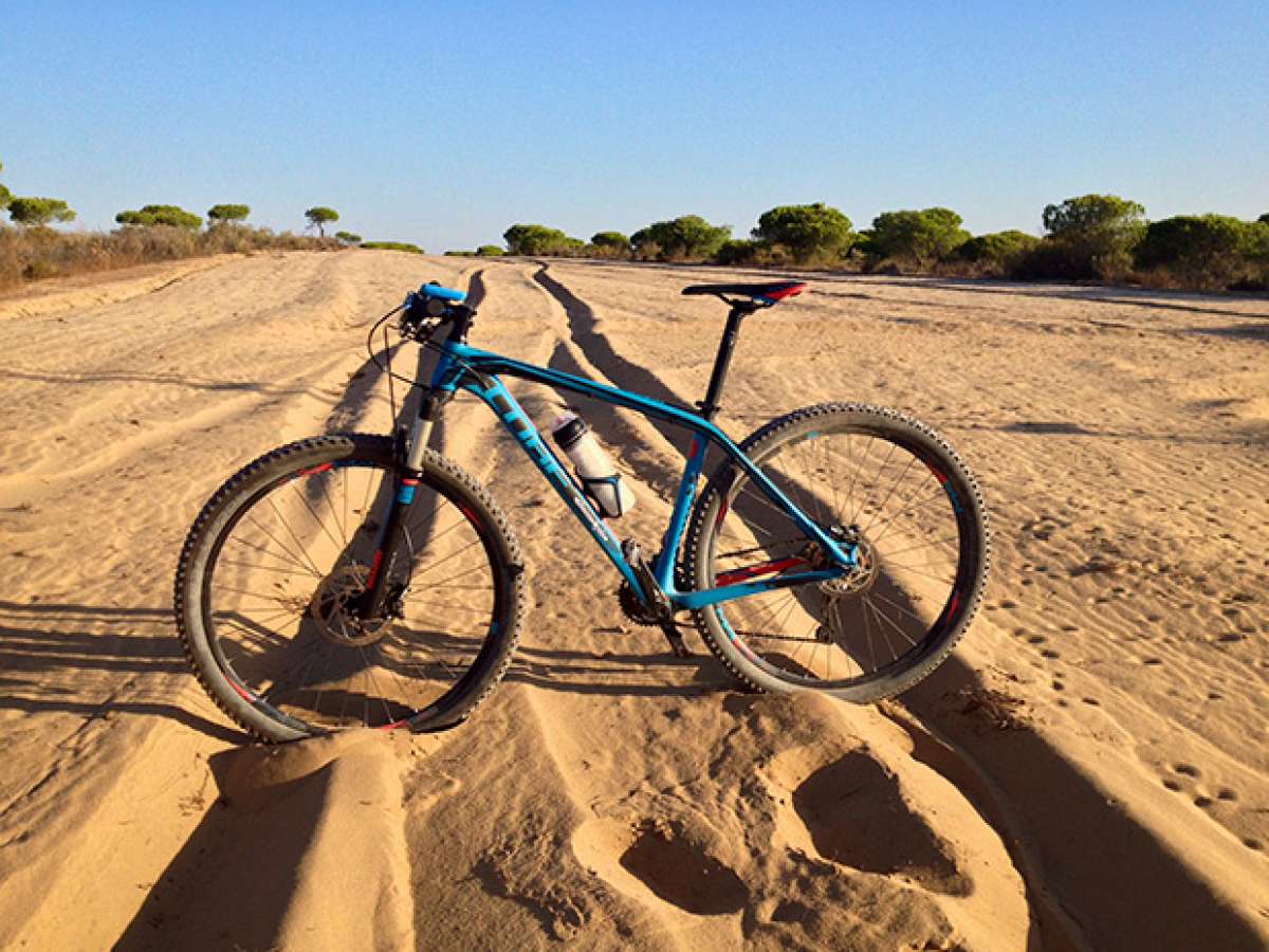 La foto del día en TodoMountainBike: 'Doñana Desert'