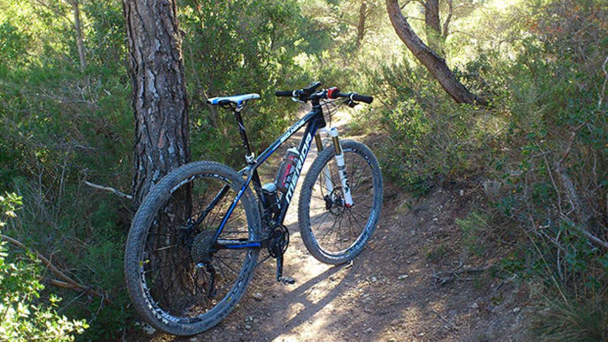 La foto del día en TodoMountainBike: 'Una Merida por las sendas'