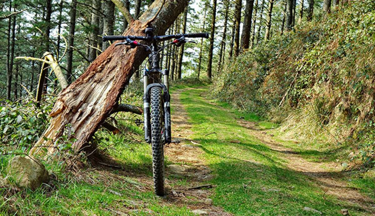 La foto del día en TodoMountainBike: 'Camino de Oleta'