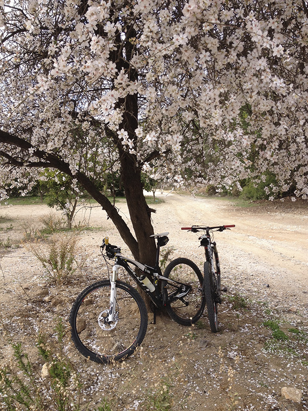 La foto del día en TodoMountainBike: 'Almendros en flor (Marbella)'