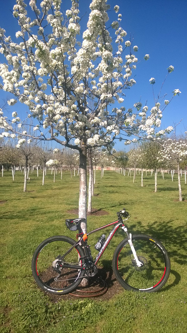 La foto del día en TodoMountainBike: 'La Huerta de la Partida'