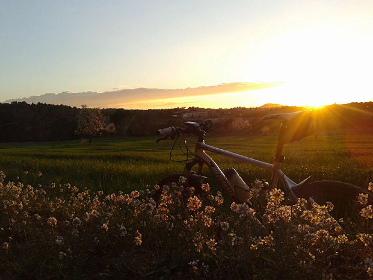 La foto del día en TodoMountainBike: 'Atardecer en Collserola'