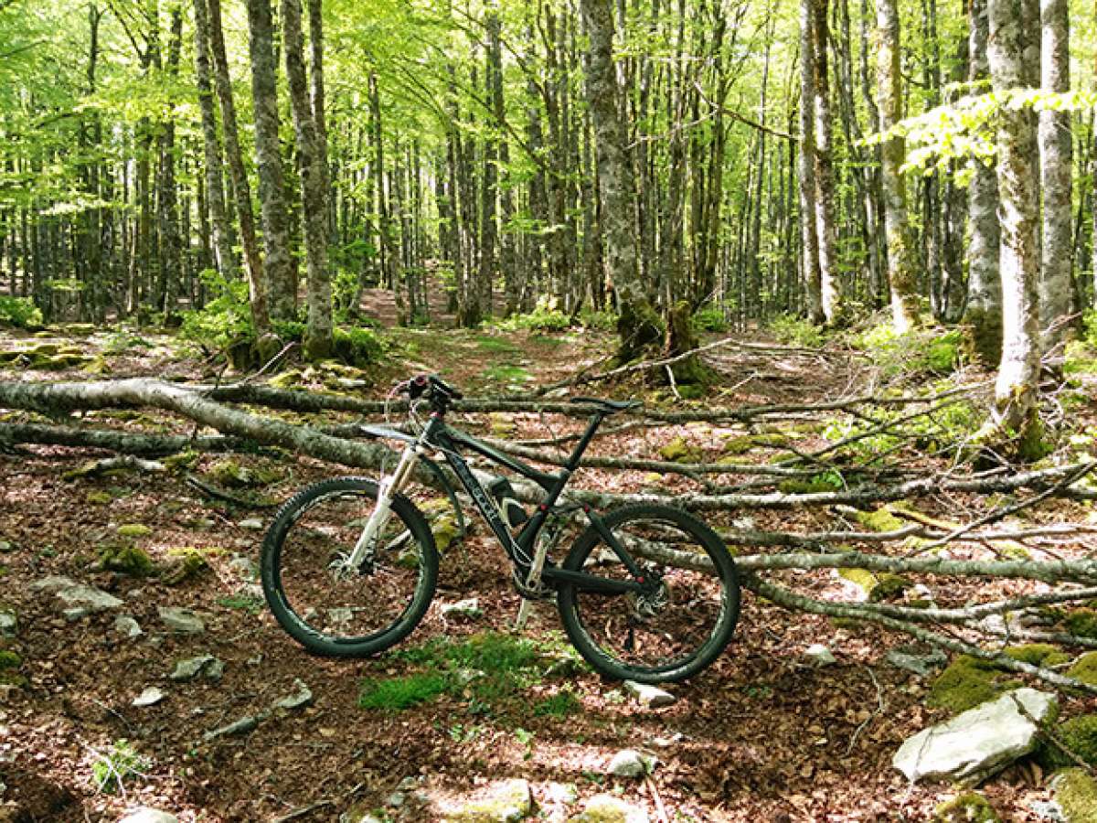 La foto del día en TodoMountainBike: 'La reina de la jungla, mi Genius'