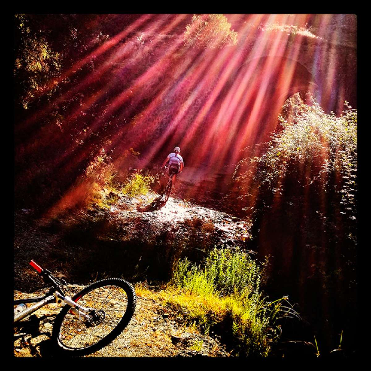 La foto del día en TodoMountainBike: 'Cazalla de la Sierra (Sevilla)'