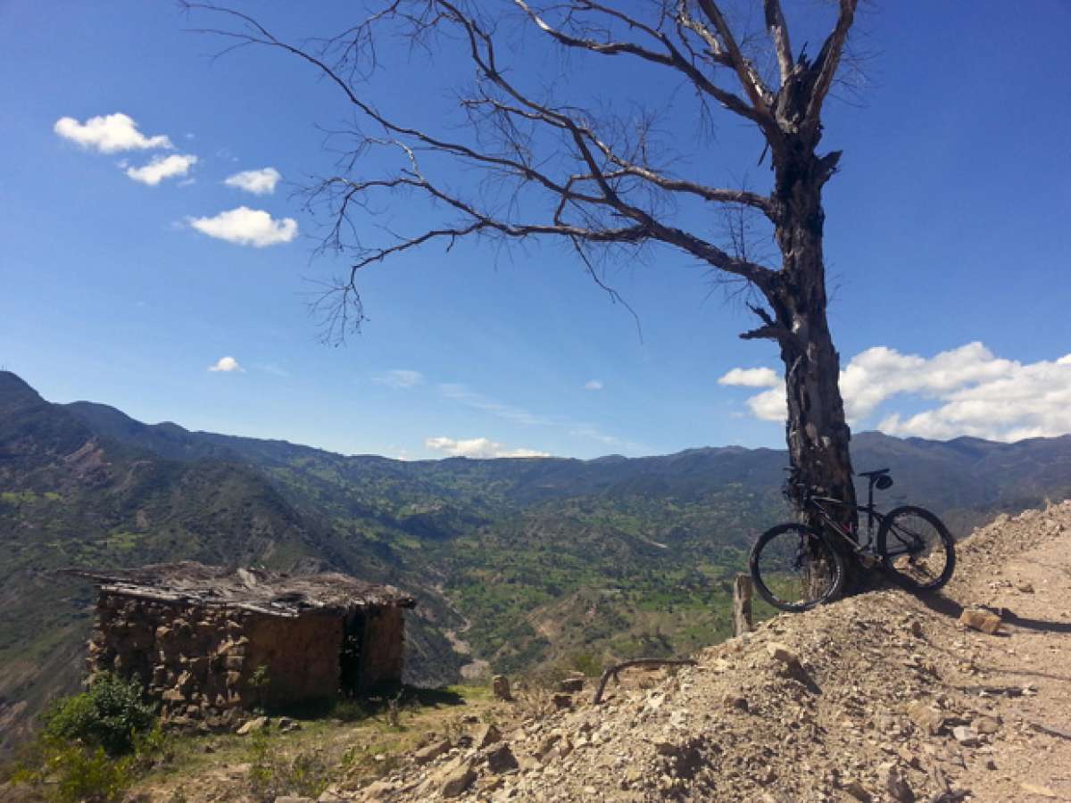 La foto del día en TodoMountainBike: 'A quien a buen árbol se arrima...'