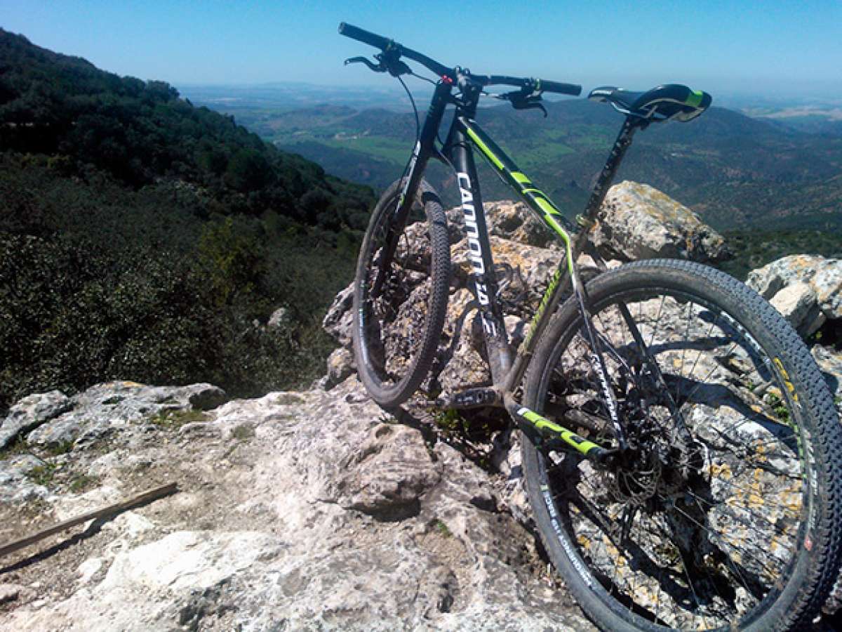 La foto del día en TodoMountainBike: 'El Mogote - Sierra Gaditana'