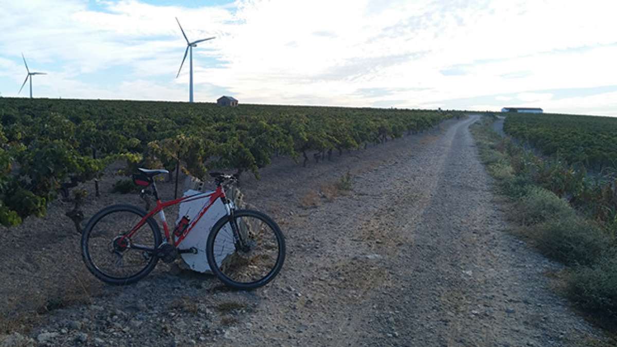 La foto del día en TodoMountainBike: 'Ruta Las Casas de la Viña'