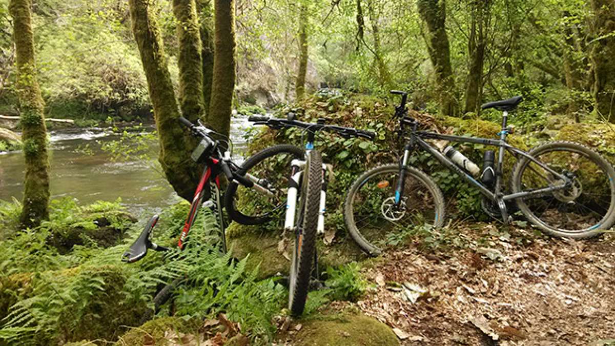 La foto del día en TodoMountainBike: 'Galicia Verde'